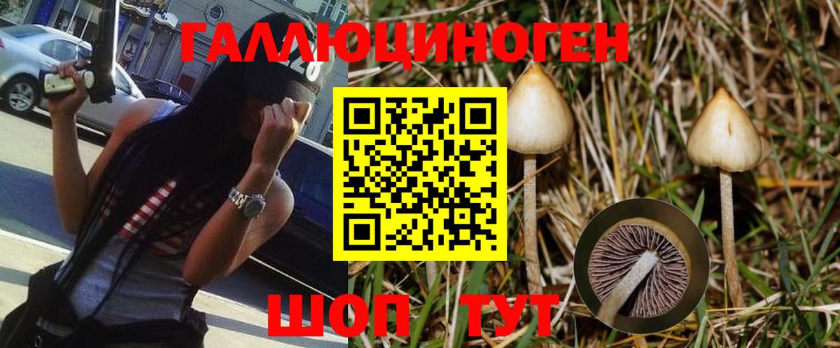 Ирбит  Псилоцибиновые грибы мицелий  Вход с VPN 